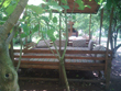 Engin Pansiyon & Camping çıralı